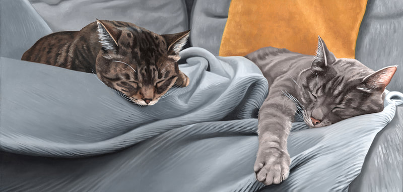 Pet Portrait of two cats sleeping Ellie & Zoey