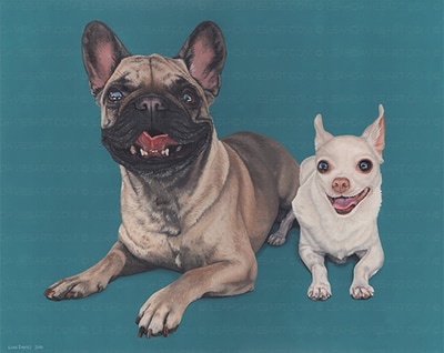 Pet Portrait of two dogs 
Stella & Peanut