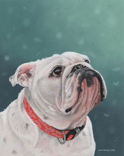 Pet Portrait of Izzy the Bulldog