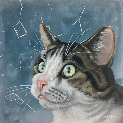 Pet Portrait of Neutrino the Cat