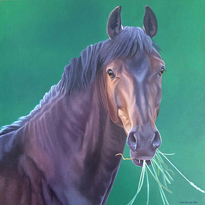Pet Portrait of Starlight the Horse