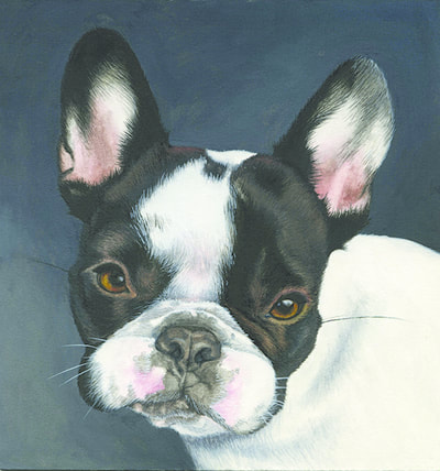 Pet Portrait of Henry the French Bulldog